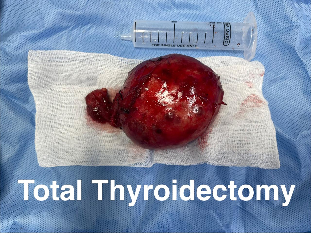 ENT gallery 2026-01-04 at 11.55.42 (1)