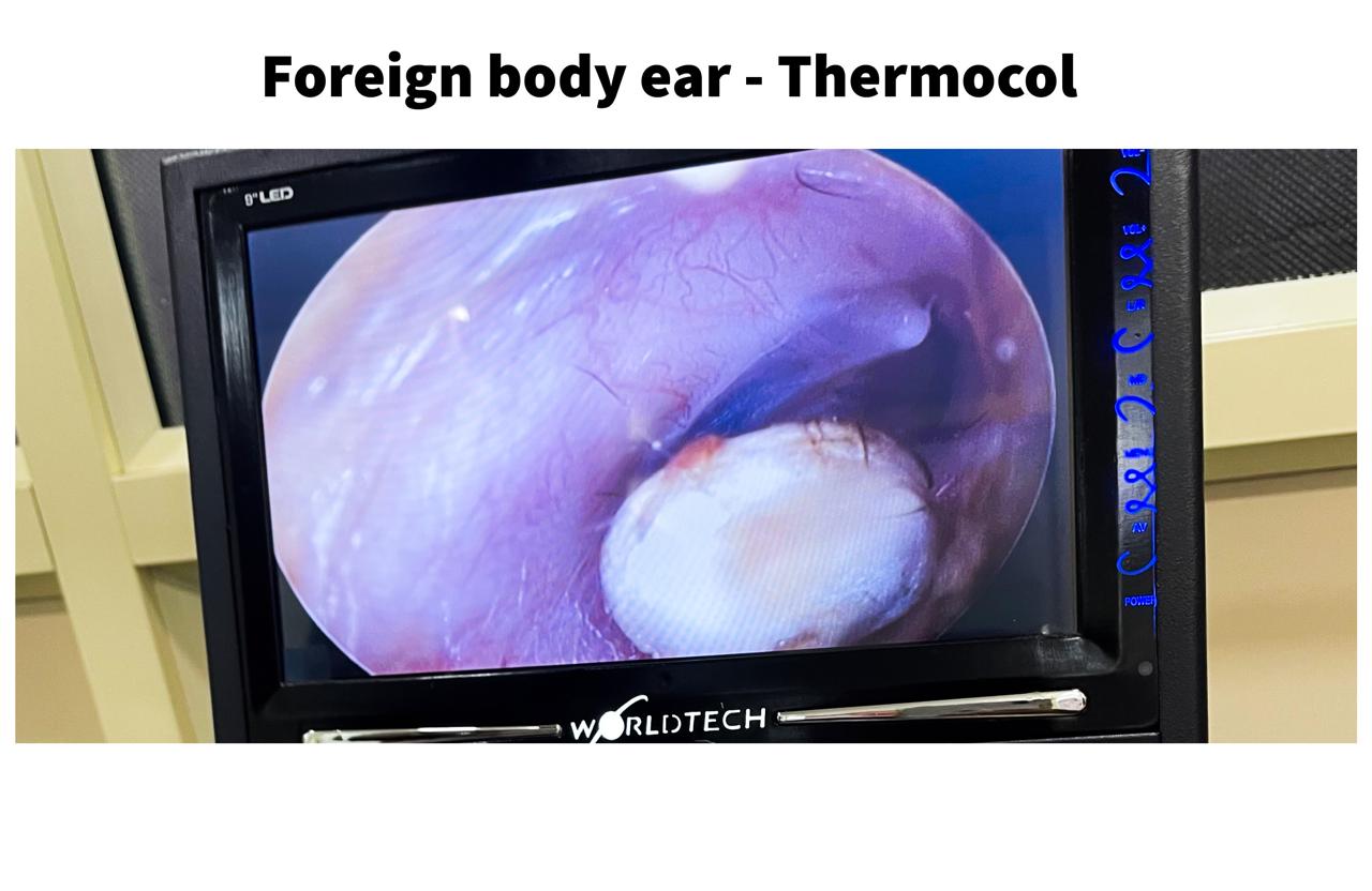 ENT gallery 2026-01-04 at 11.55.42 (2)