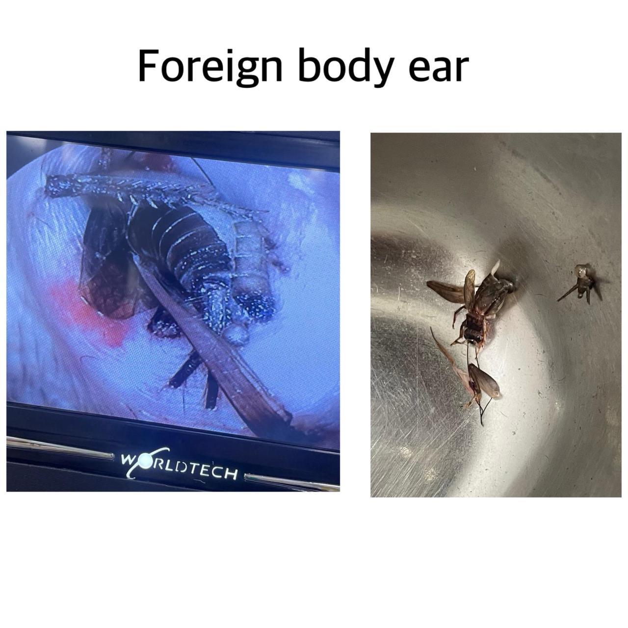 ENT gallery 2026-01-04 at 11.55.42 (3)