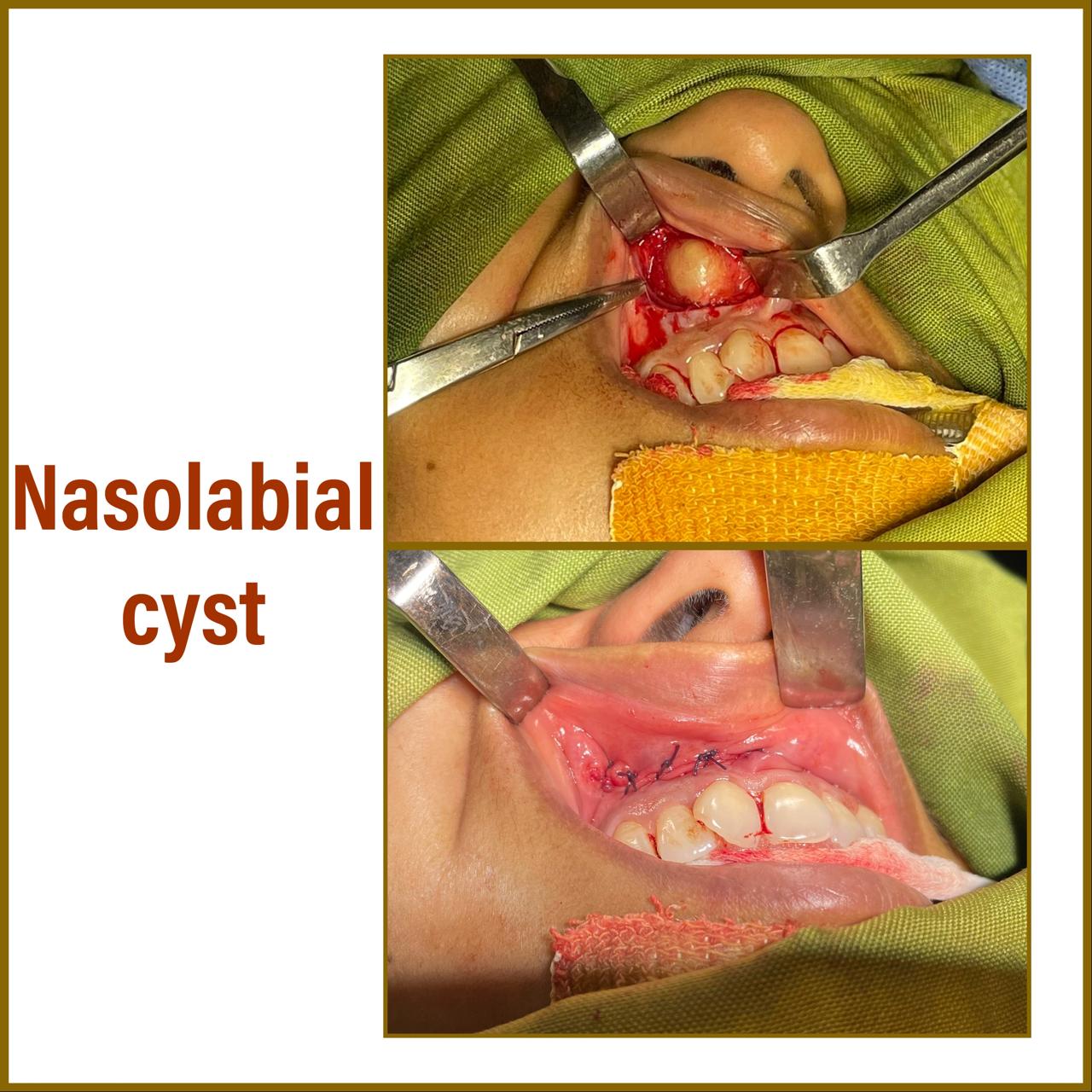 ENT gallery 2026-01-04 at 11.55.42 (4)