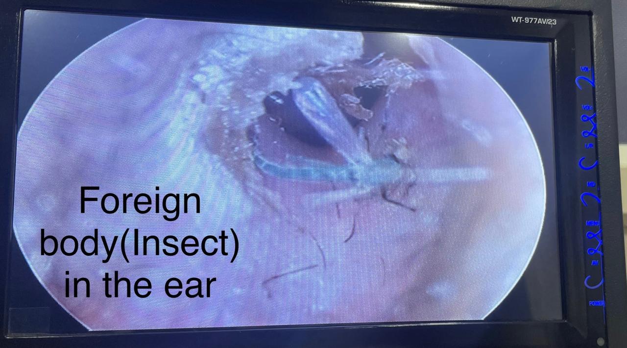 ENT gallery 2026-01-04 at 11.55.42