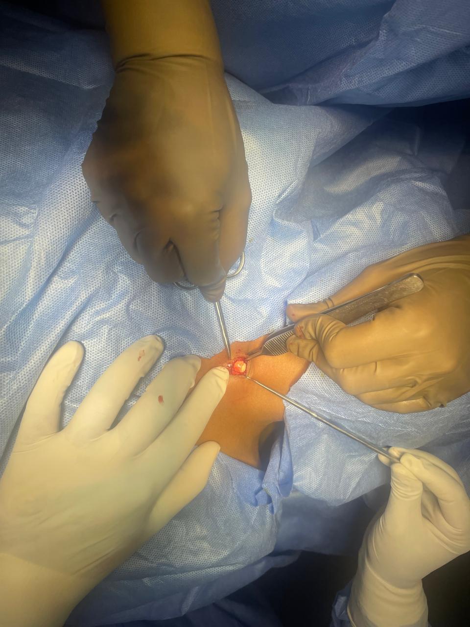 ENT gallery 2026-01-04 at 12.05.45