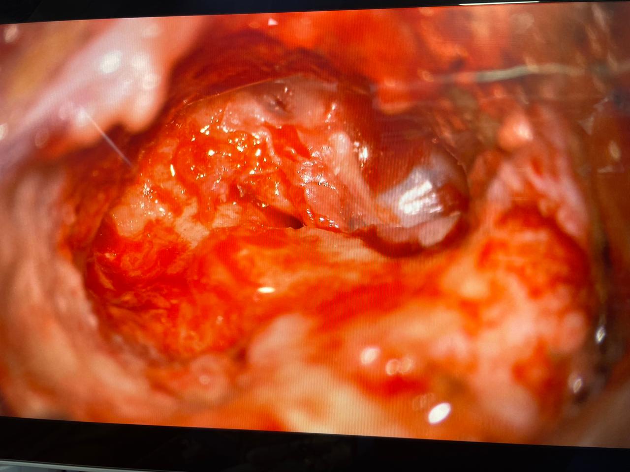 ENT gallery 2026-01-04 at 12.06.28