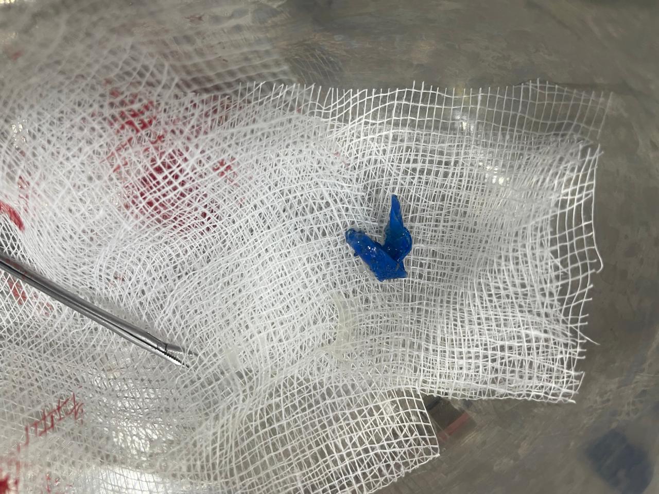 ENT gallery 2026-01-04 at 12.08.30