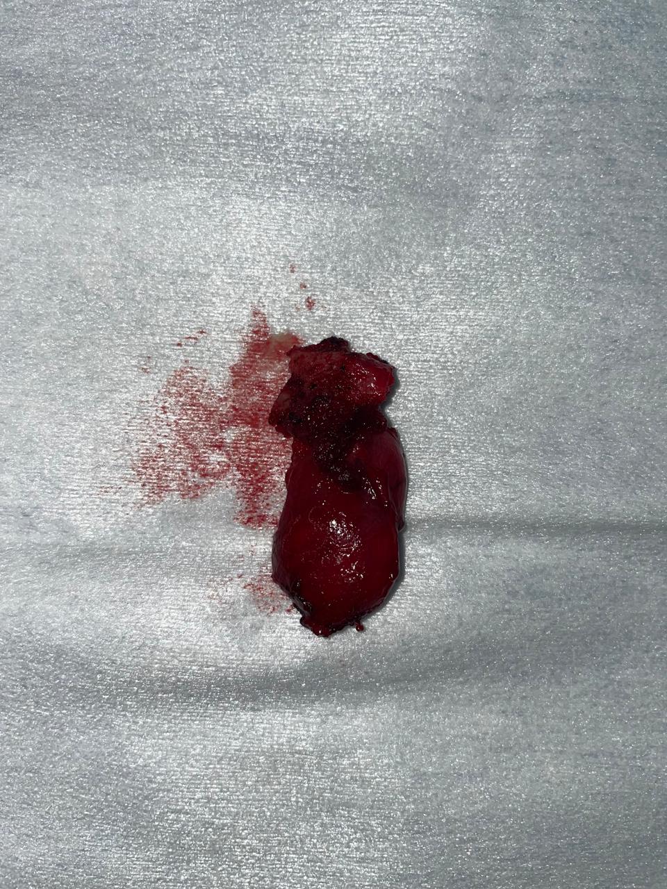 ENT gallery 2026-01-04 at 12.09.27