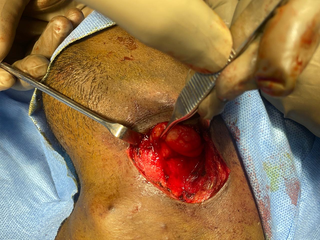 ENT gallery 2026-01-04 at 12.10.16