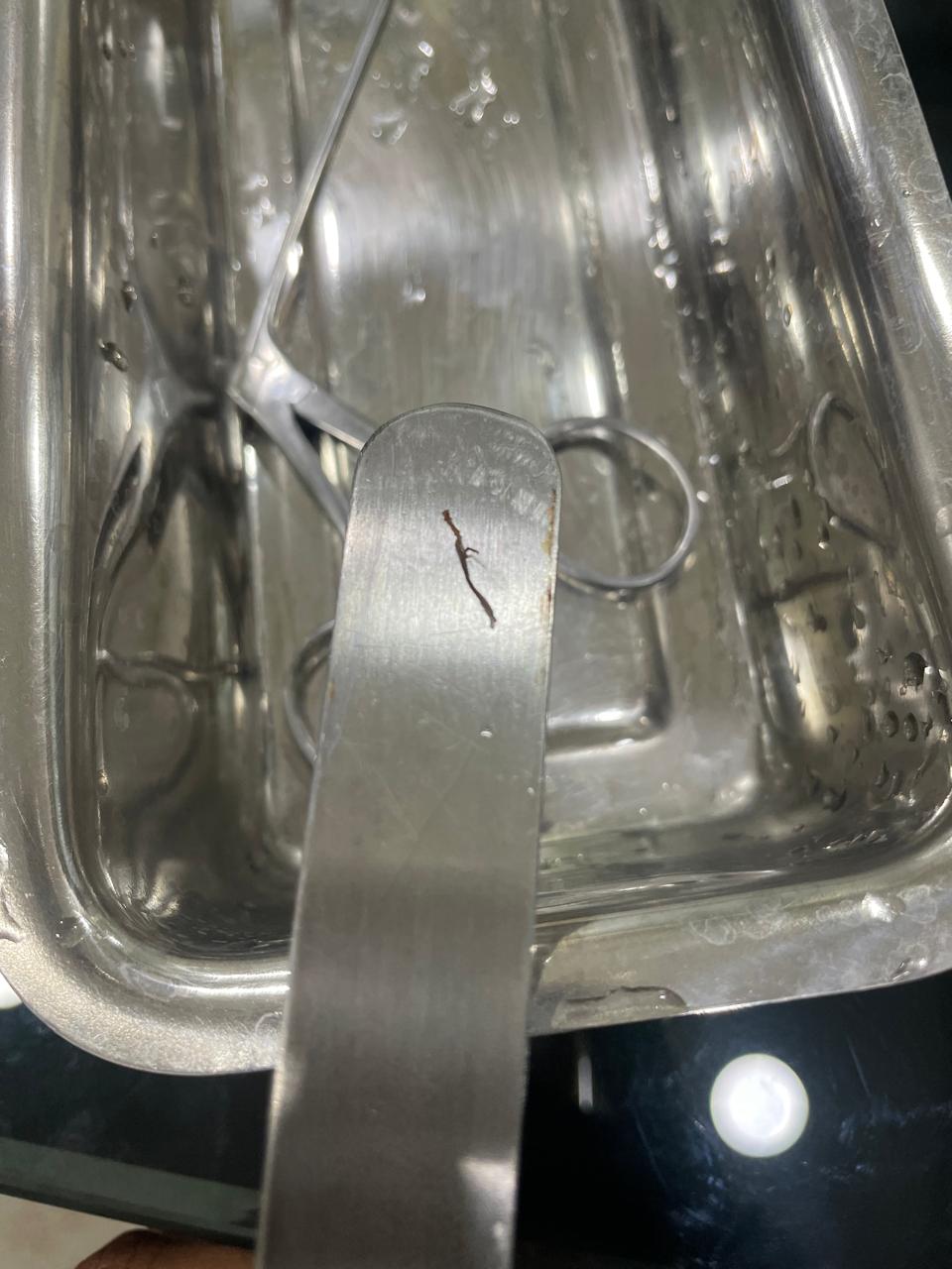 ENT gallery 2026-01-04 at 12.11.06