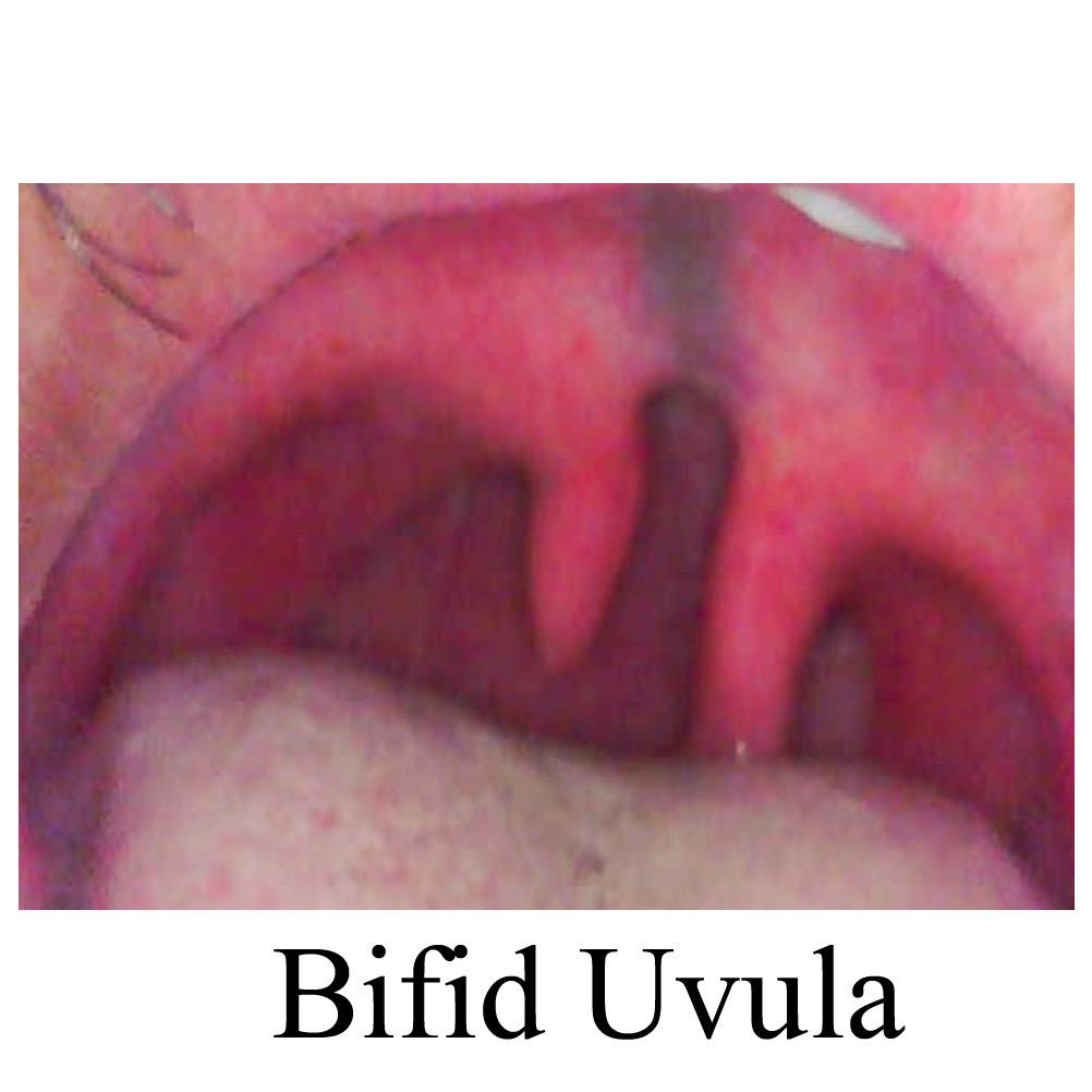 ENT gallery 2026-01-04 at 12.11.19